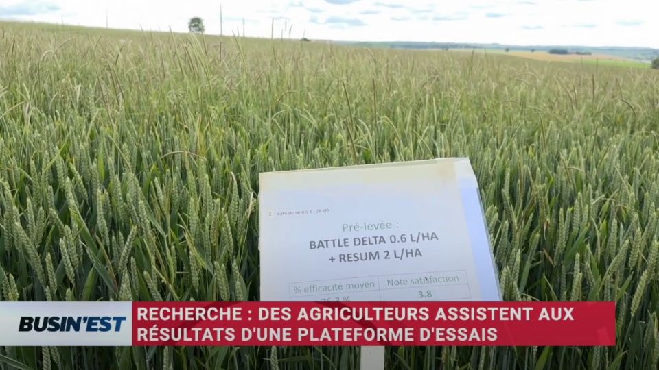 Busin'Est le reportage du 19 juin