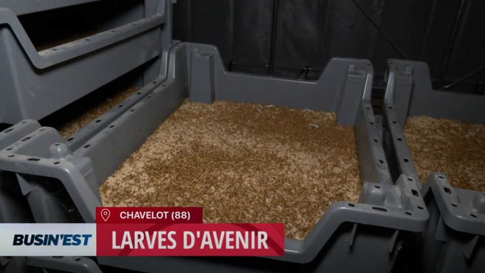 Busin'Est le reportage du 25 septembre