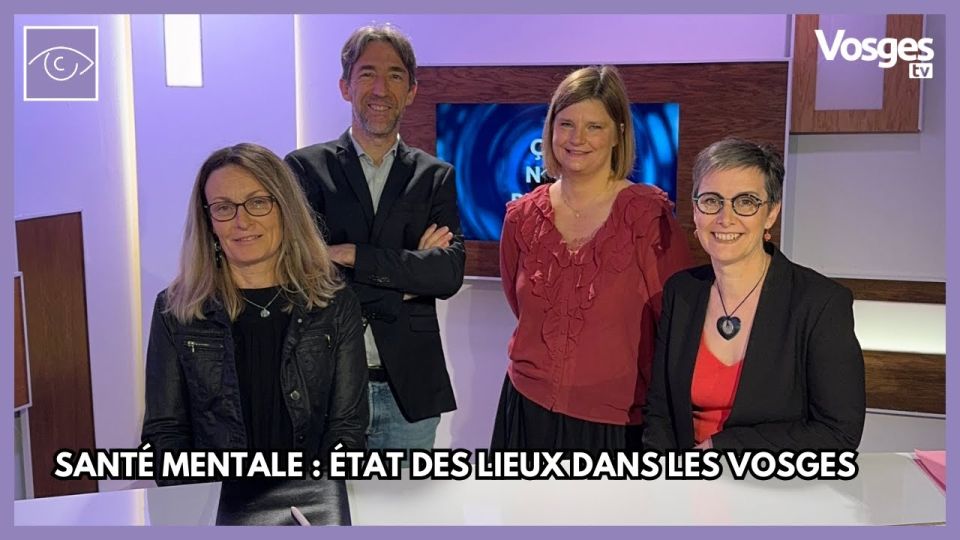 Santé mentale : état des lieux dans les Vosges