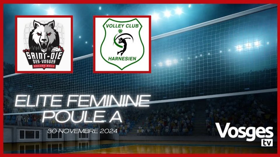 Volley Louves Saint-Dié VS Harnes
