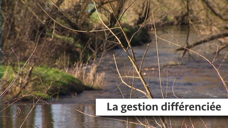 Atelier du jardin : La gestion différenciée