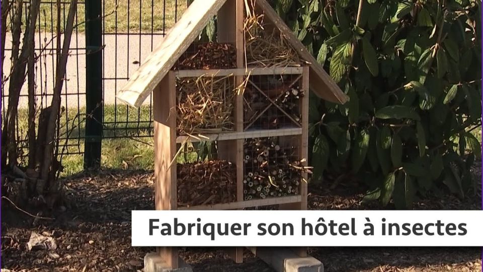 Atelier du jardin : Fabriquer son hôtel à insectes