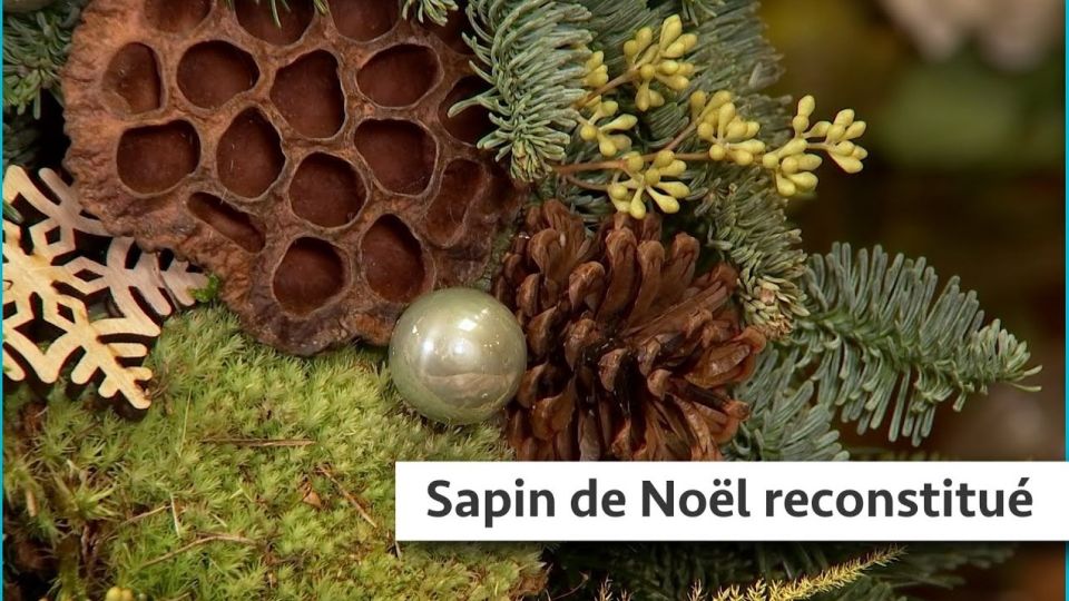 Atelier du jardin : Sapin de Noël reconstitué