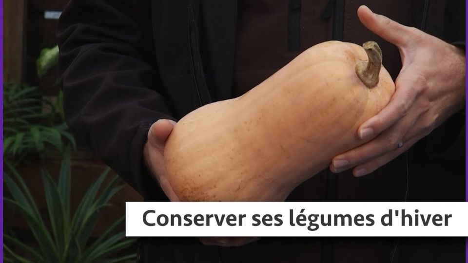 Atelier du jardin : Conserver ses légumes d'hiver