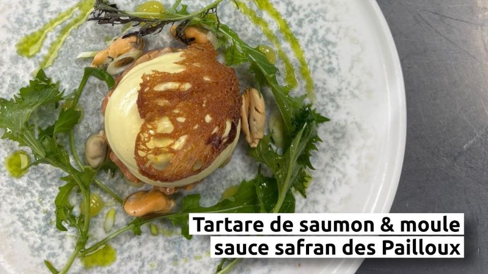 A feu doux : Les Ménestrels #02 Tartare de Saumon aux Moules, Émulsion Safran et Salade de Mesclun