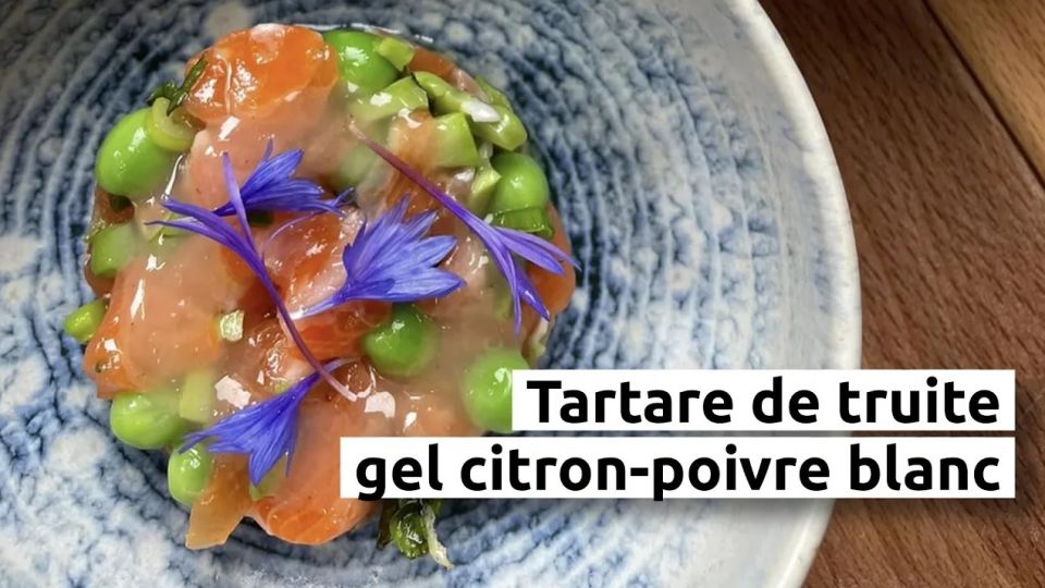 A feu doux : Jacques-Table à vin #03 Tartare de truite et gel citron-poivre blanc