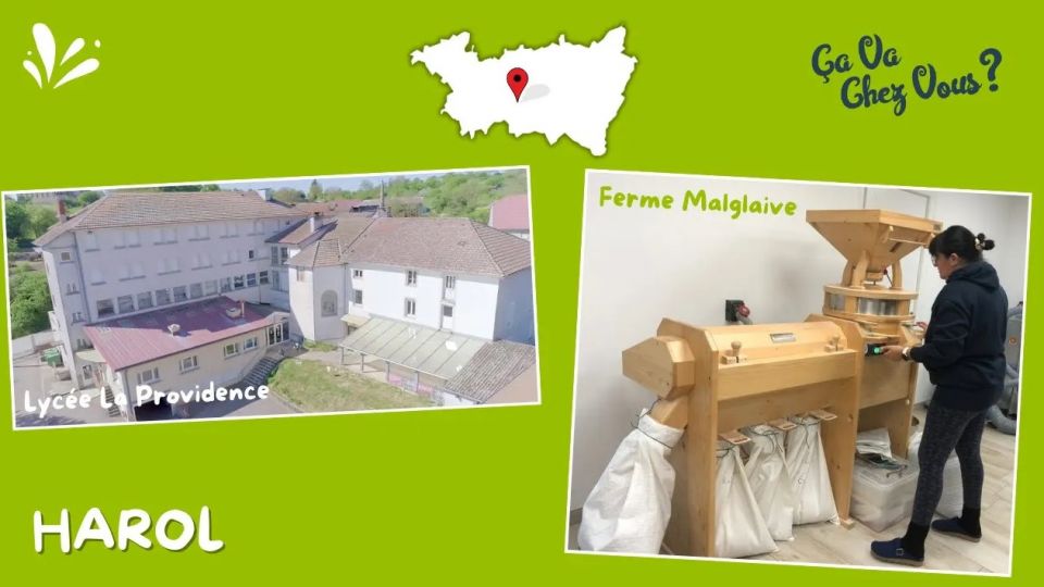 Ca va chez vous ? A Harol