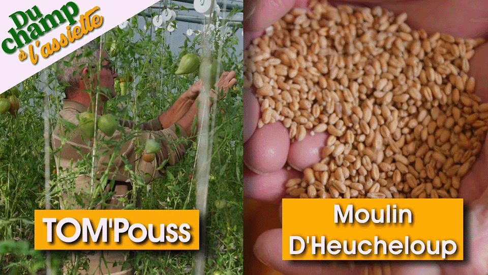 Du Champ à l'assiette : chez TOM'Pouss & au Moulin d'Heucheloup