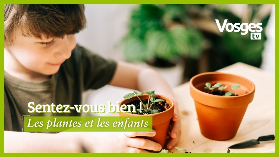 Sentez-vous bien ! Les plantes et les enfants