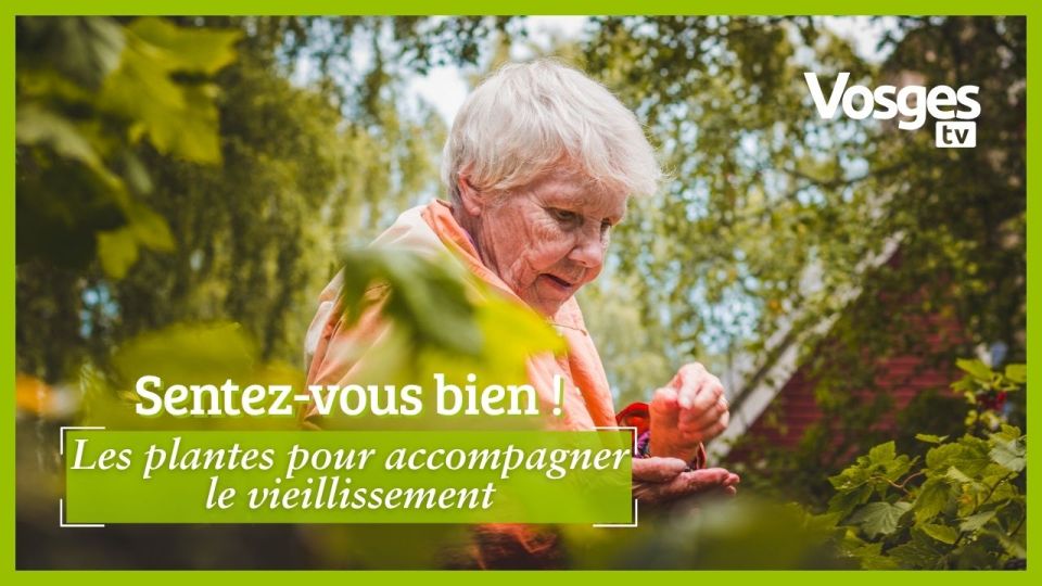 Sentez-vous bien ! Bien vieillir avec les plantes