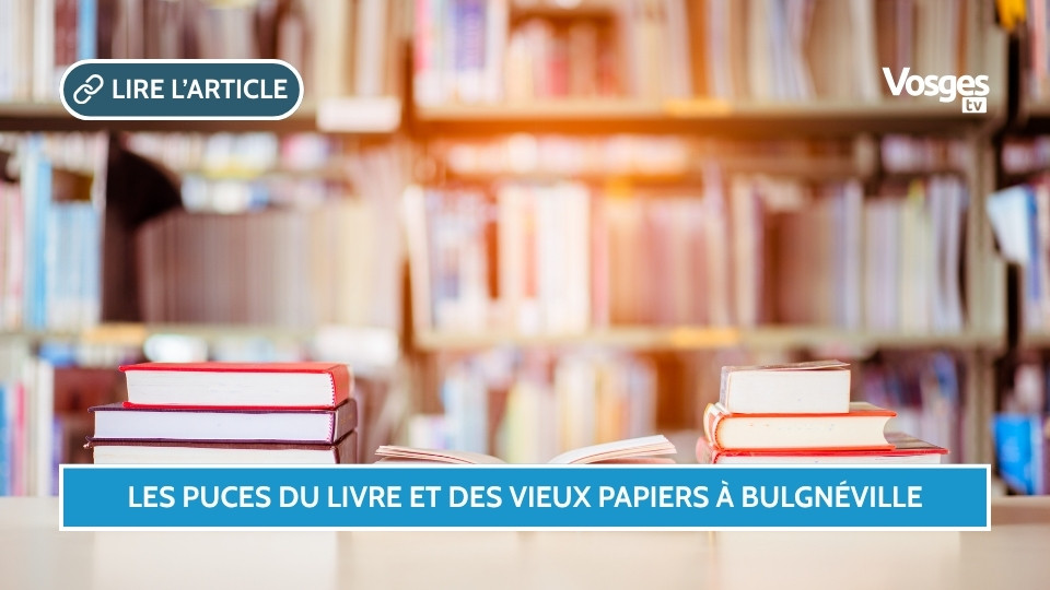 Les Puces du livre et des vieux papiers à Bulgnéville