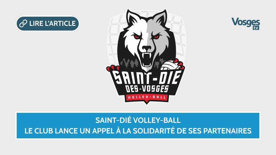 Saint-Dié Volley-ball : le club lance un appel à la solidarité de ses partenaires