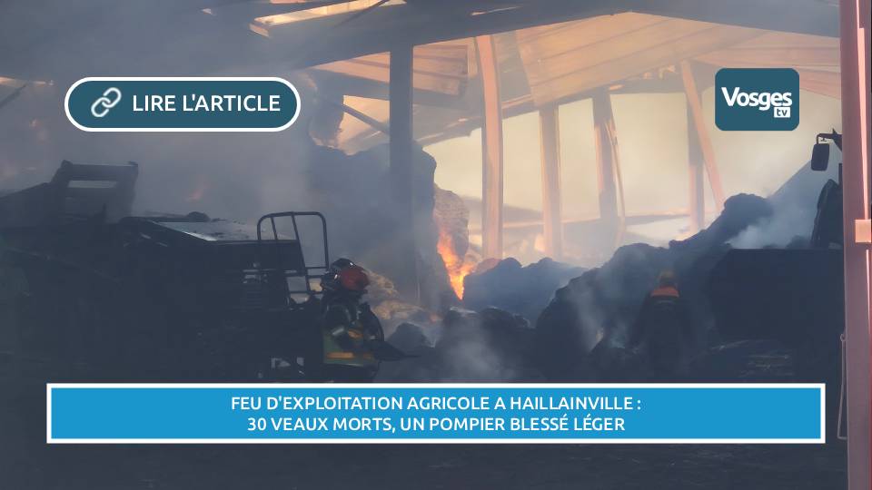 Feu d'exploitation agricole à Haillainville : 30 veaux tués par le feu, un pompier légèrement blessé.