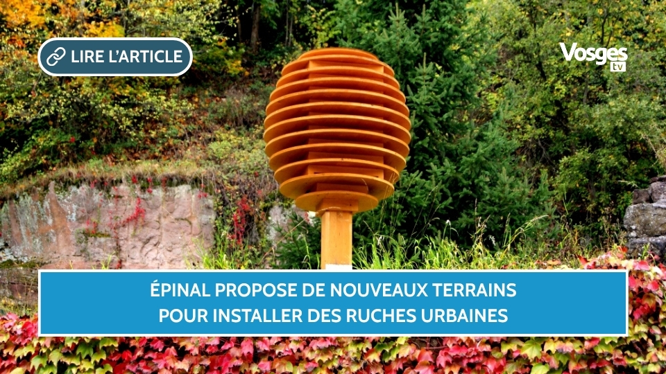 Épinal propose de nouveaux terrains pour installer des ruches urbaines