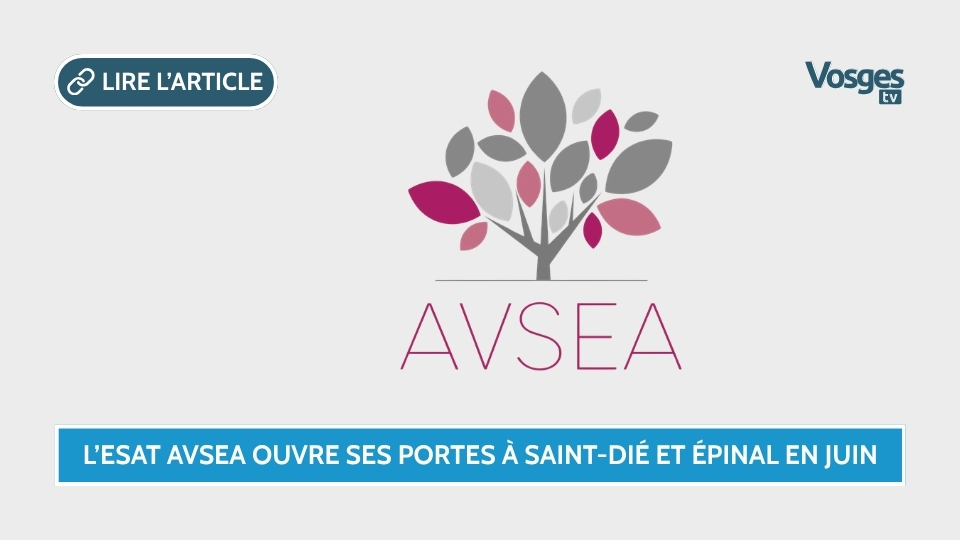 L’ESAT AVSEA ouvre ses portes à Saint-Dié et Épinal en juin 2026