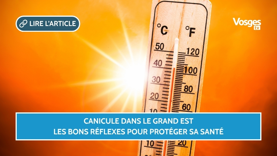 Canicule dans le Grand Est : les bons réflexes pour protéger sa santé