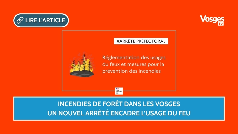Incendies de forêt dans les Vosges : un nouvel arrêté encadre l’usage du feu