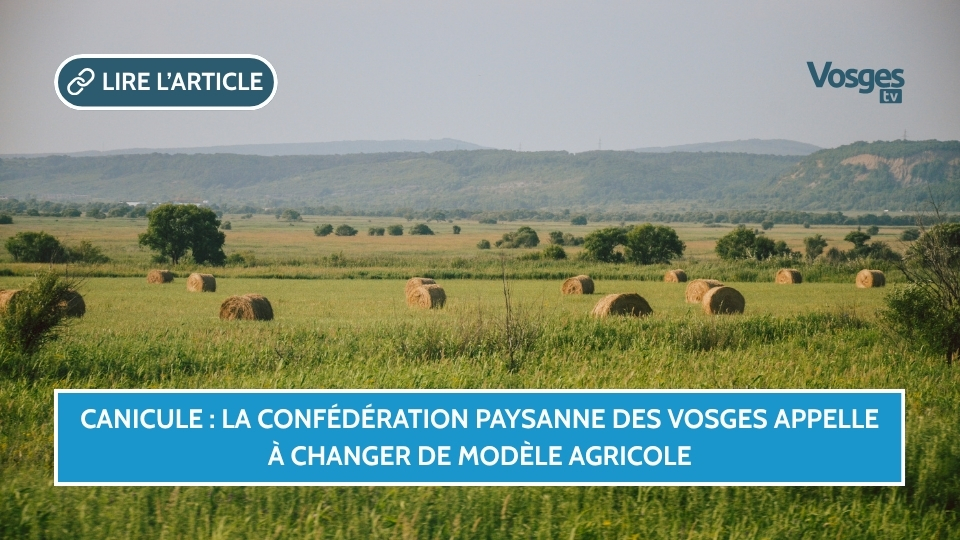 Canicule : la Confédération paysanne des Vosges appelle à changer de modèle agricole