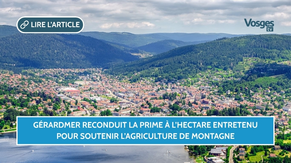 Gérardmer reconduit la prime à l’hectare entretenu pour soutenir l’agriculture de montagne