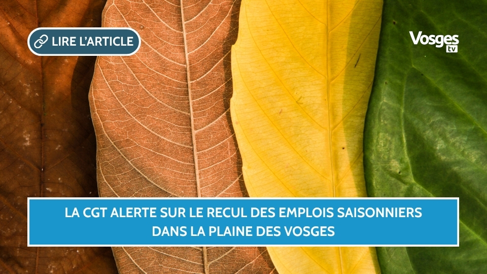 La CGT alerte sur le recul des emplois saisonniers dans la Plaine des Vosges