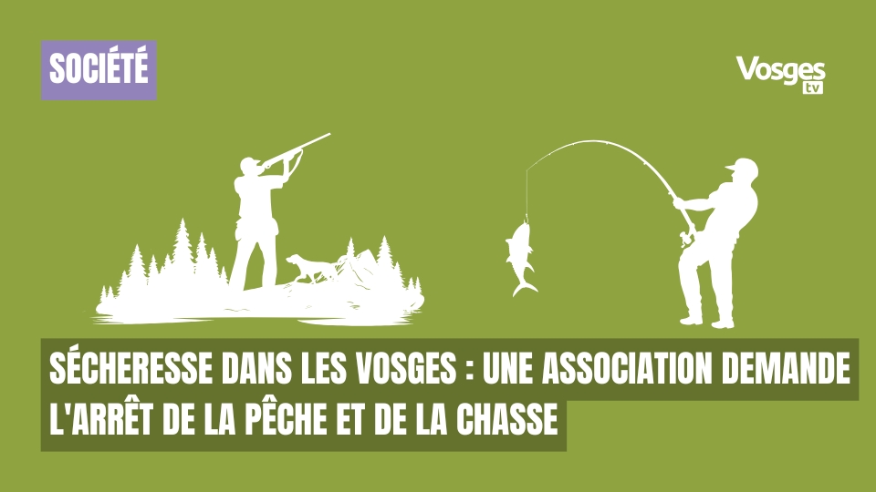 Sécheresse dans les Vosges : une association demande l'arrêt de la pêche et de la chasse