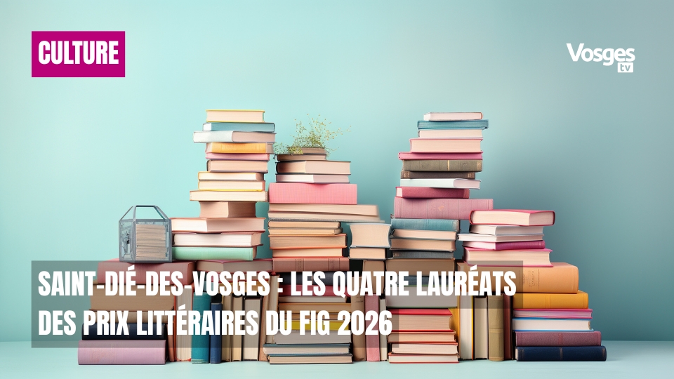 Saint-Dié-des-Vosges : les quatre lauréats des prix littéraires du FIG 2026