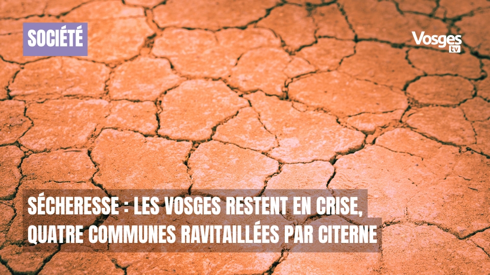 Sécheresse : les Vosges restent en crise, quatre communes ravitaillées par citerne