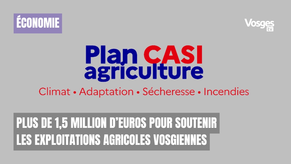 Plus de 1,5 million d’euros pour soutenir les exploitations agricoles vosgiennes