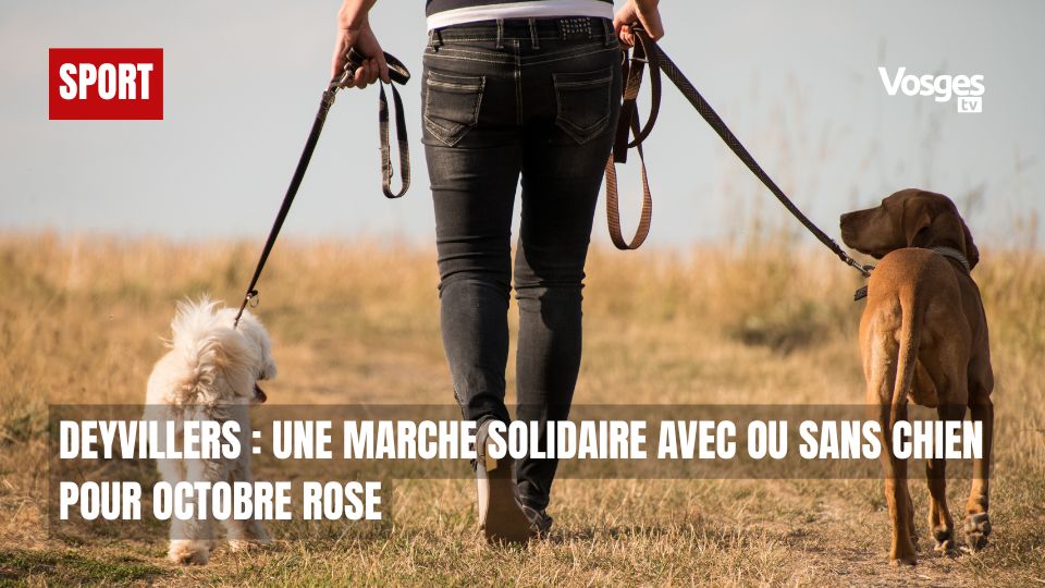 Deyvillers : une marche solidaire avec ou sans chien pour Octobre Rose