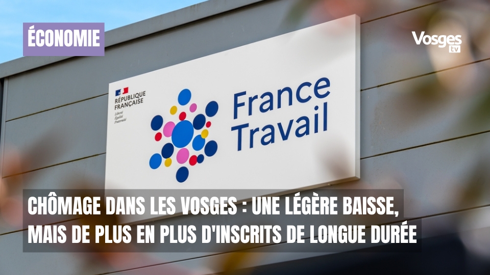 Chômage dans les Vosges : une légère baisse, mais de plus en plus d'inscrits de longue durée