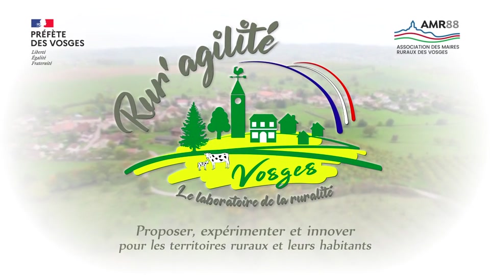 Laboratoire de la ruralité (1/6) : des “villages d'avenir”