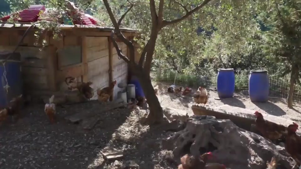 Documentaire : Autrement Ep.07 de Michel Toesca