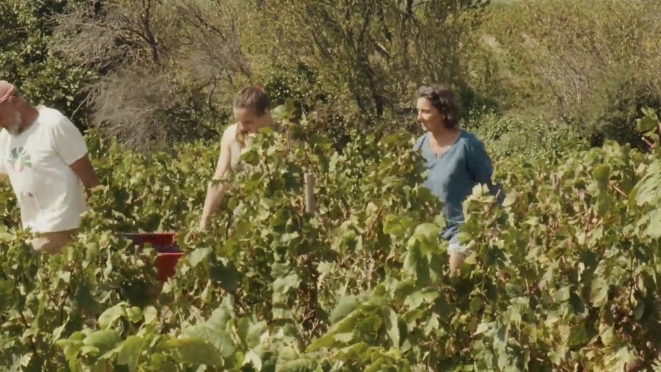 Documentaire : L'étrange couleur des larmes de Hélène Bassas